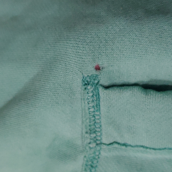 Hollister ‘48 Surfing’ teal pullover hoodie - Picture 6 of 9